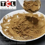 Extrakt z ortosifónu