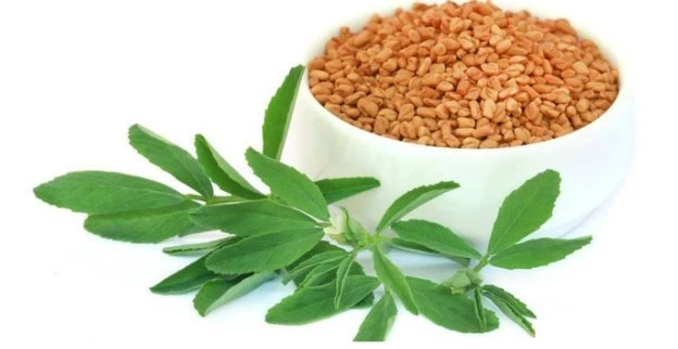 Fenugreek Extract Powder Suppliers
