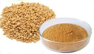 Fenugreek Extract Powder factory